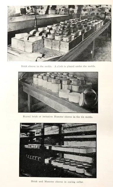 (Cheese) Decker, John W. Cheese Making. Cheddar. Swiss. Brick. Limburger. Edam. Cottage.