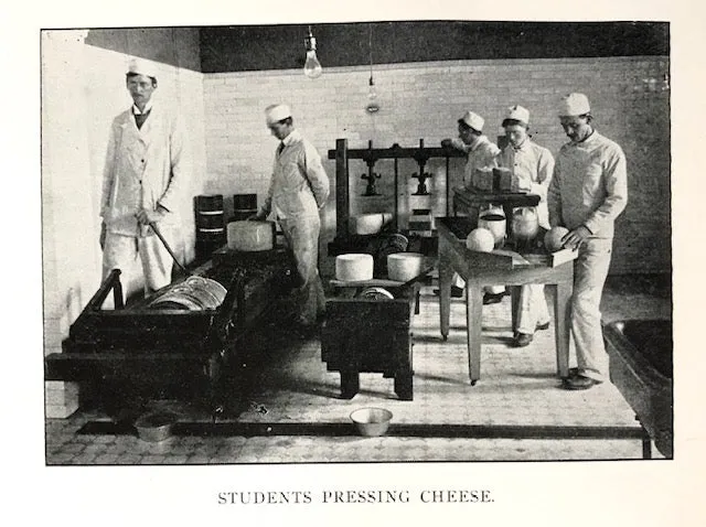 (Cheese) Decker, John W. Cheese Making. Cheddar. Swiss. Brick. Limburger. Edam. Cottage.