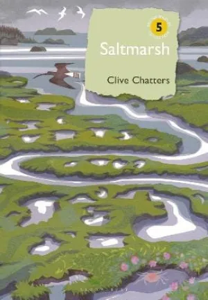 Clive Chatters: Saltmarsh [2022] hardback