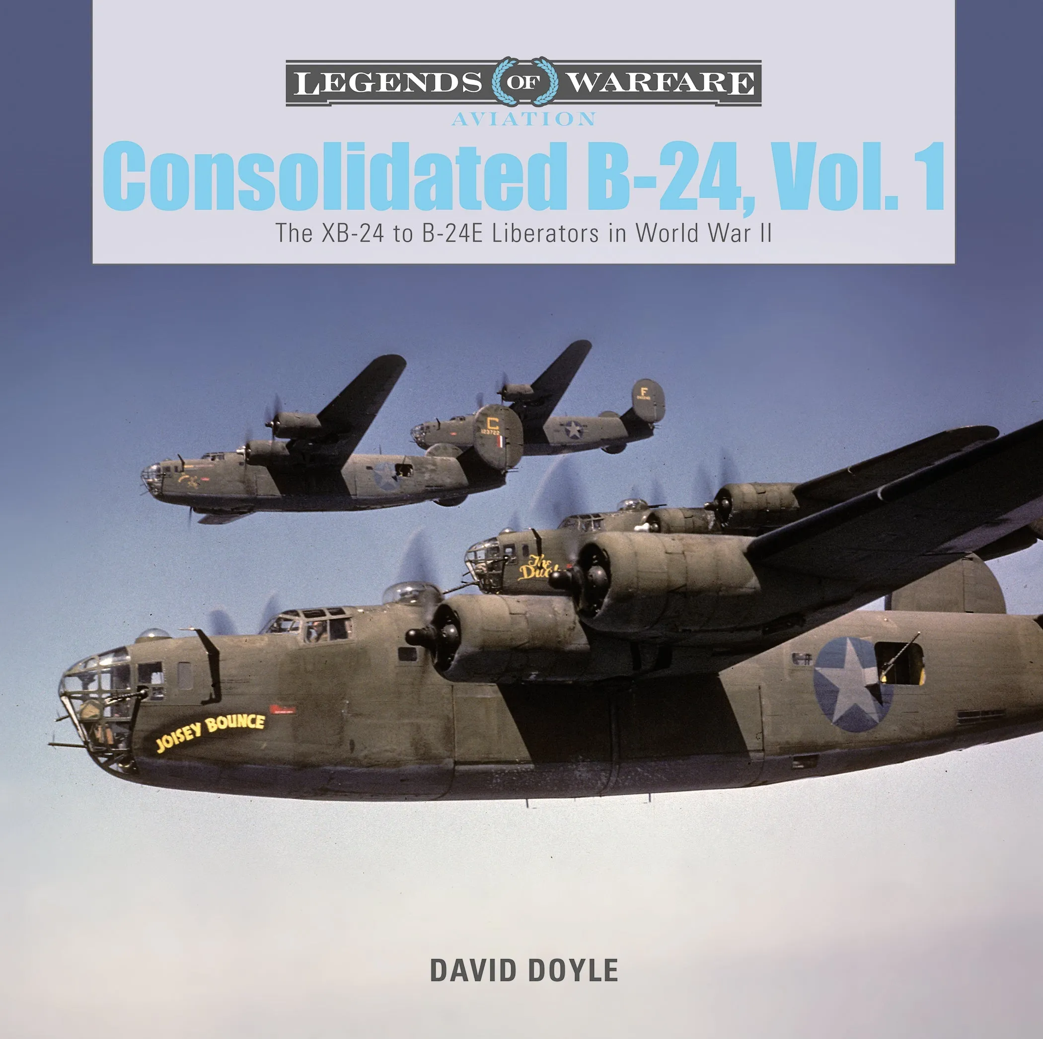 Consolidated B-24 Vol.1 by Schiffer Publishing