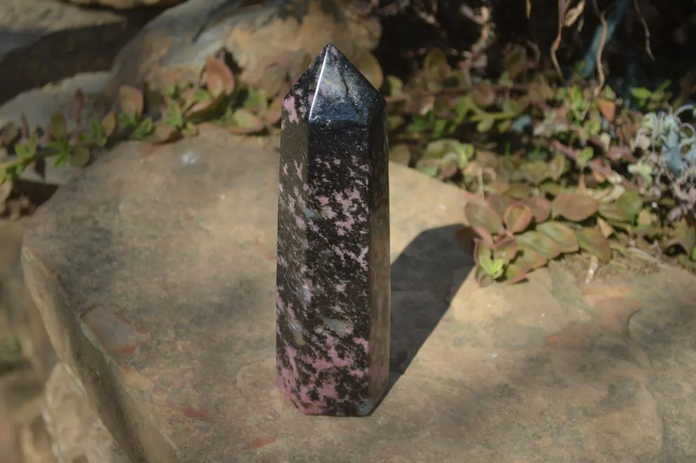 Polished Large Rhodonite Point x 1 From Madagascar