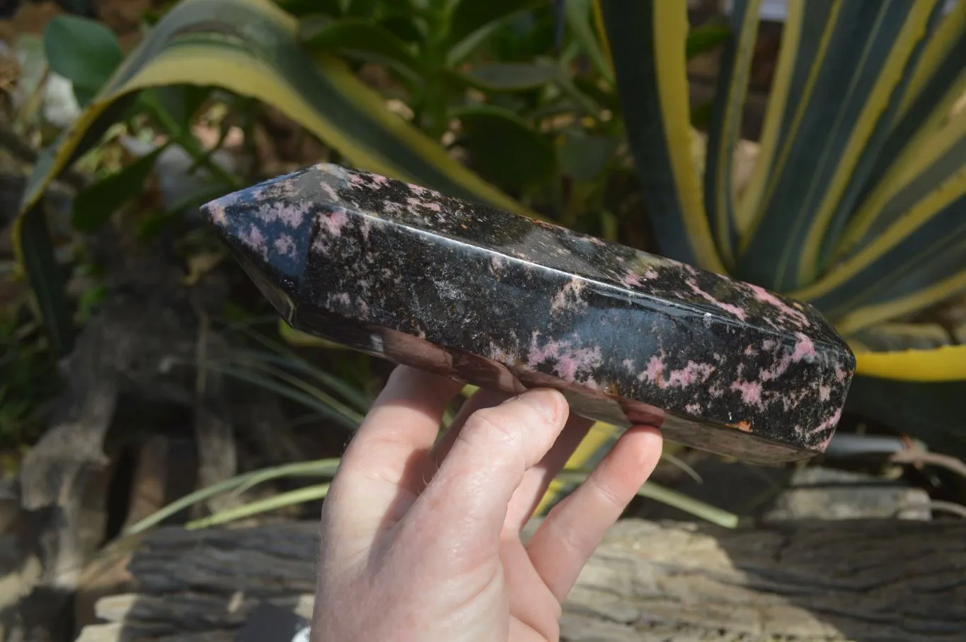 Polished Large Rhodonite Point x 1 From Madagascar