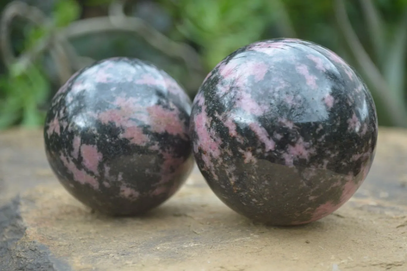 Polished Pink & Black Rhodonite Spheres x 4 From Madagascar