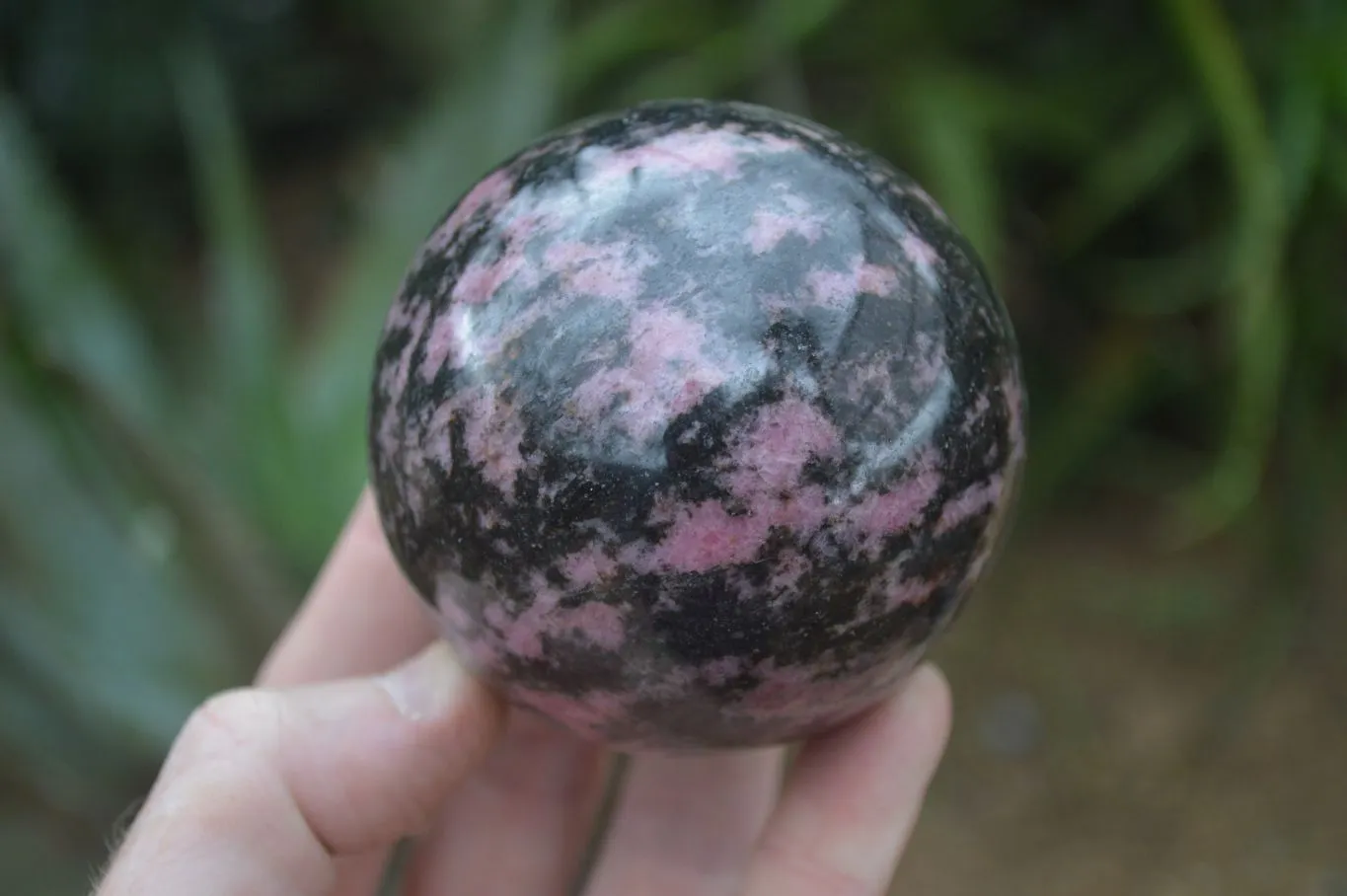 Polished Pink & Black Rhodonite Spheres x 4 From Madagascar