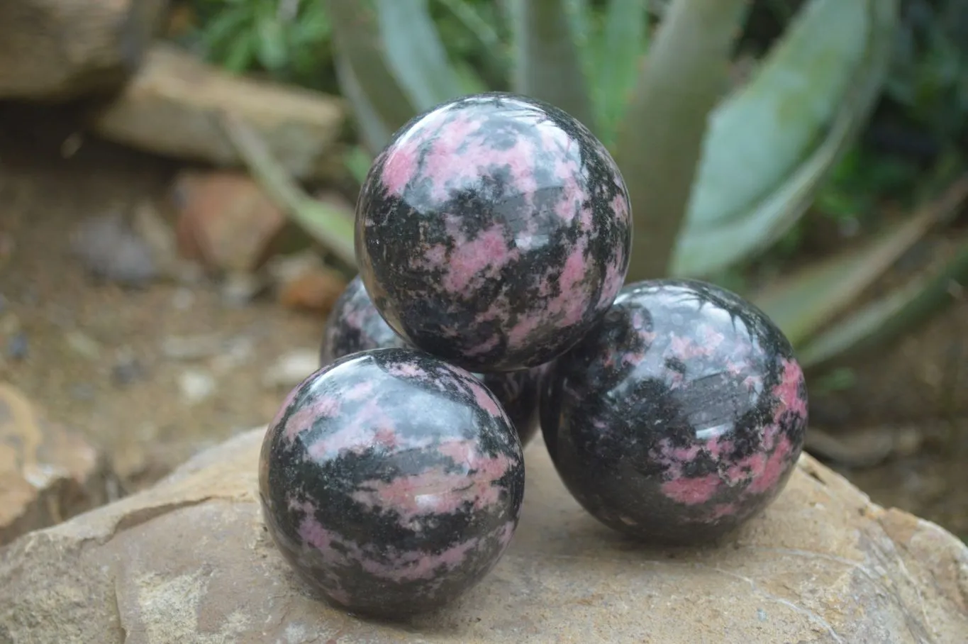 Polished Pink & Black Rhodonite Spheres x 4 From Madagascar