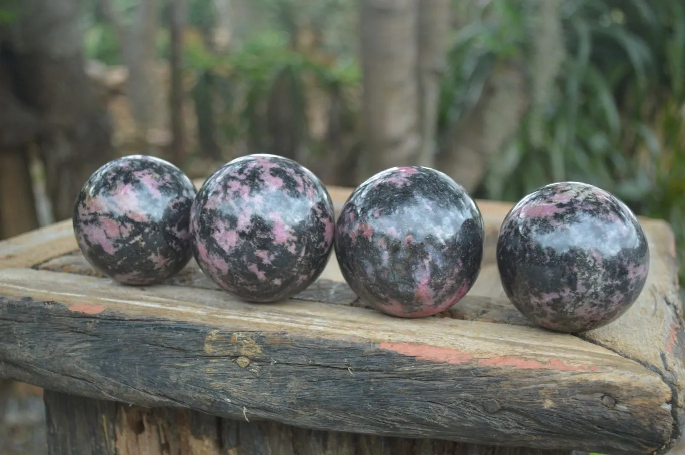 Polished Pink & Black Rhodonite Spheres x 4 From Madagascar