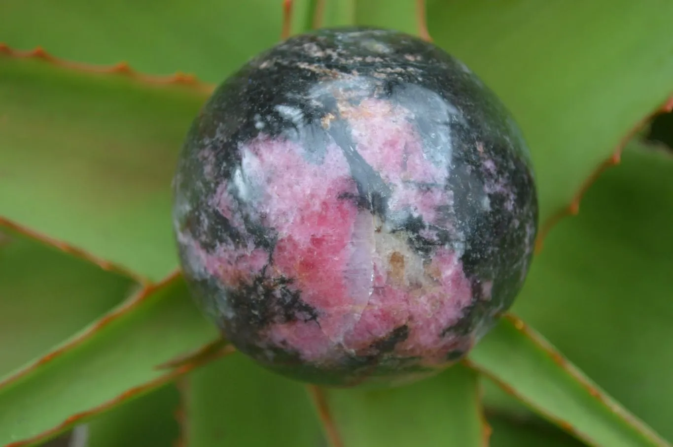 Polished Pink & Black Rhodonite Spheres x 4 From Madagascar