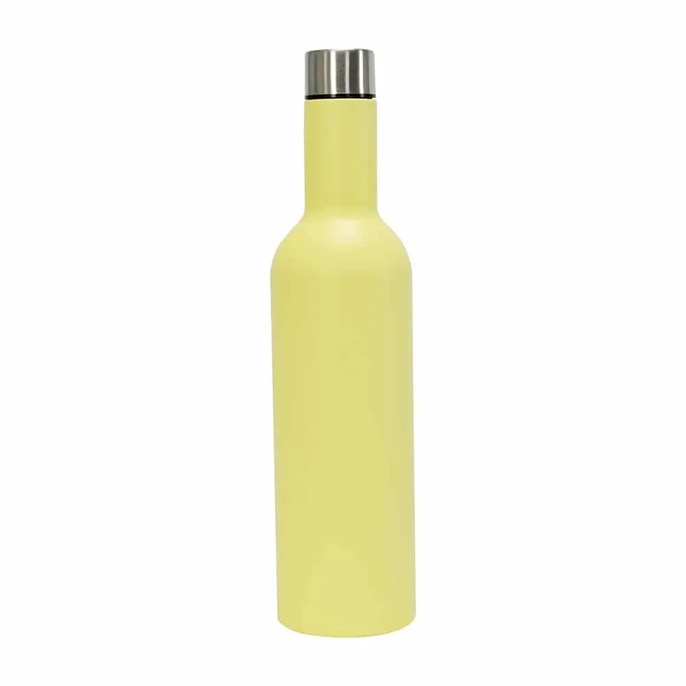 Stainless Steel Wine Bottle